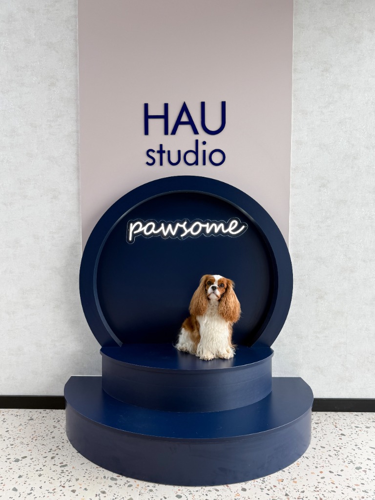 HAU studio 1