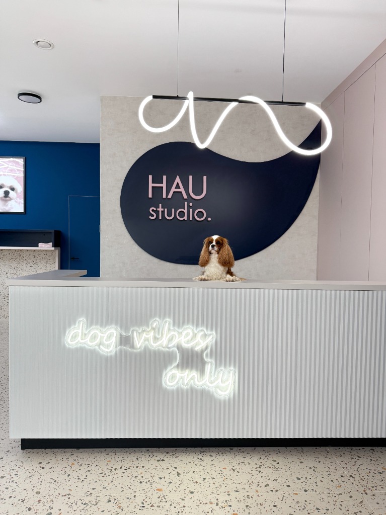 HAU studio 2
