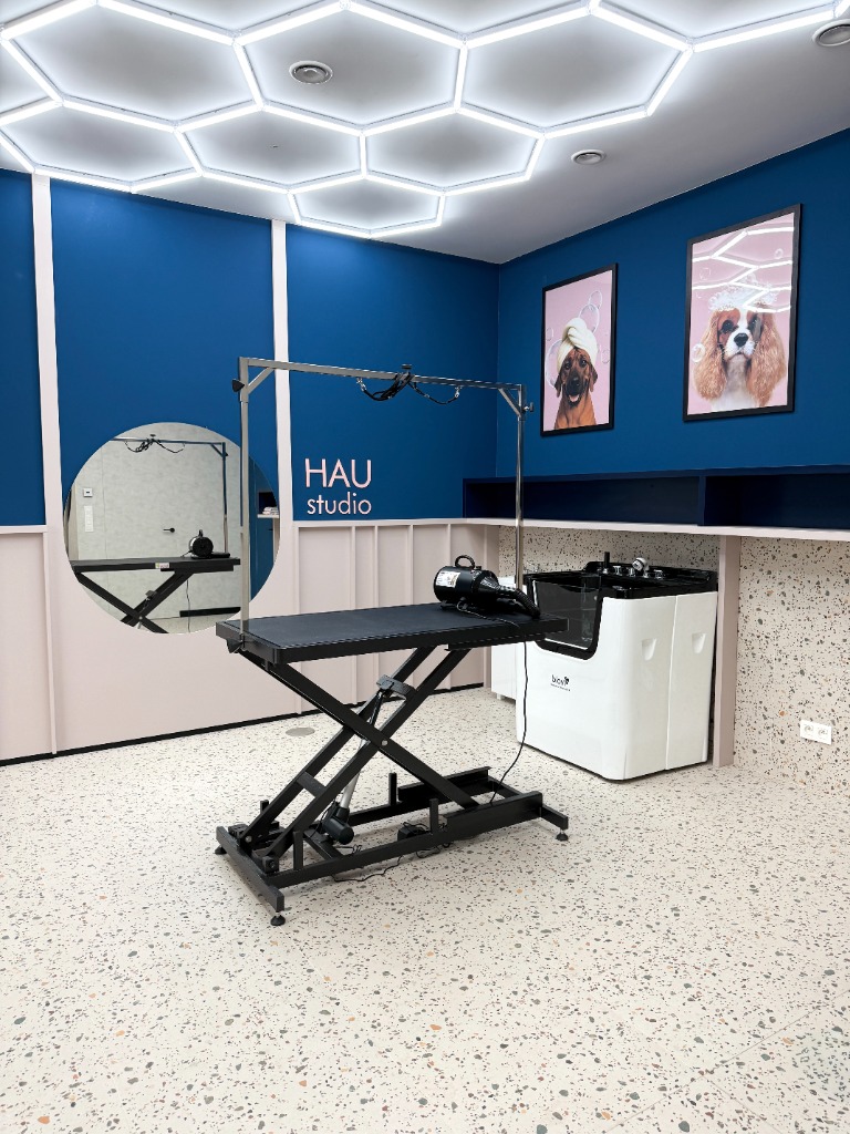 HAU studio 3